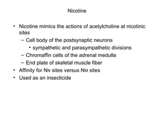 Nicotine   Nicotine mimics the actions of acetylcholine at nicotinic sites Cell body of the postsynaptic neurons sympathetic and parasympathetic divisions Chromaffin cells of the adrenal medulla End plate of skeletal muscle fiber Affinity for N N  sites versus N M  sites Used as an insecticide 