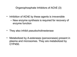 Inhibition of AChE by these agents is irreversible New enzyme synthesis is required for recovery of enzyme function They also inhibit pseudocholinesterase Metabolized by A-esterases (paroxonases) present in plasma and microsomes. They are metabolized by CYP450. Organophosphate Inhibitors of AChE (3) 