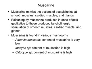 Muscarine Muscarine mimics the actions of acetylcholine at smooth muscles, cardiac muscles, and glands  Poisoning by muscarine produces intense effects qualitative to those produced by cholinergic stimulation of smooth muscles, cardiac muscle, and glands Muscarine is found in various mushrooms Amanita muscaria : content of muscarine is very low Inocybe sp : content of muscarine is high Clitocybe sp : content of muscarine is high 