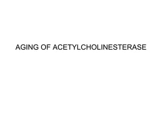 AGING OF ACETYLCHOLINESTERASE 