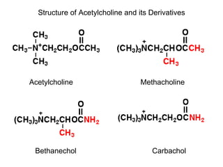 Structure of Acetylcholine and its Derivatives Acetylcholine Methacholine Bethanechol Carbachol 