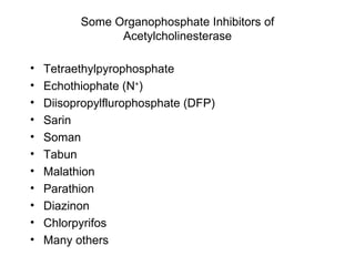 Some Organophosphate Inhibitors of Acetylcholinesterase Tetraethylpyrophosphate Echothiophate (N + ) Diisopropylflurophosphate (DFP) Sarin Soman Tabun Malathion Parathion Diazinon Chlorpyrifos Many others 