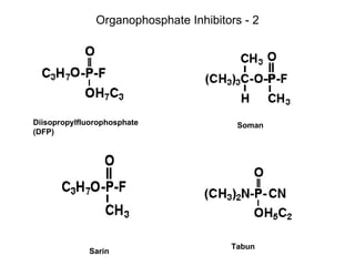 Organophosphate Inhibitors - 2 Diisopropylfluorophosphate (DFP) Soman Sarin Tabun 