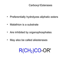 Carboxyl Esterases Preferentially hydrolyzes aliphatic esters Malathion is a substrate Are inhibited by organophosphates May also be called aliesterases 