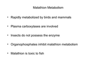 Malathion Metabolism Rapidly metabolized by birds and mammals Plasma carboxylases are involved Insects do not possess the enzyme Organophosphates inhibit malathion metabolism Malathion is toxic to fish 