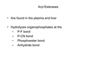 Aryl Esterases Are found in the plasma and liver Hydrolyzes organophosphates at the P-F bond P-CN bond Phosphoester bond Anhydride bond 