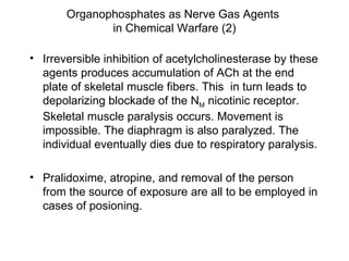 Organophosphates as Nerve Gas Agents  in Chemical Warfare (2) Irreversible inhibition of acetylcholinesterase by these agents produces accumulation of ACh at the end plate of skeletal muscle fibers. This  in turn leads to depolarizing blockade of the N M  nicotinic receptor. Skeletal muscle paralysis occurs. Movement is impossible. The diaphragm is also paralyzed. The individual eventually dies due to respiratory paralysis. Pralidoxime, atropine, and removal of the person from the source of exposure are all to be employed in cases of posioning. 