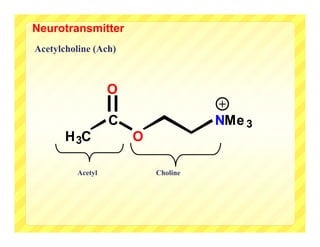 Neurotransmitter
Acetylcholine (Ach)



                   O
                                     +
                   C                 NMe 3
       H 3C            O

          Acetyl           Choline
 