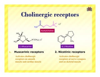 Cholinergic receptors

                                       Acetylcholine
       HO         H
                                                                (S)
            (R)
                                                                      N
           (S)        (S)     +
                             N (CH3)3 Cl
     H3C          O                                                   CH3
                                                           N
             (‐)‐Muscarine                                  S(‐)‐Nicotine

1.   Muscarinic receptors                              2. Nicotinic receptors
      Activates cholinergic                               Activates cholinergic
      receptors on smooth                                 receptors at nerve synapses
      muscle and cardiac muscle                           and on skeletal muscle
 