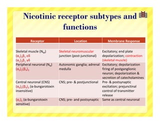Nicotinic receptor subtypes and
                functions
          Receptor                     Location              Membrane Response

Skeletal muscle (NM)         Skeletal neuromuscular      Excitatory; end plate 
(α1)2β1 εδ                   junction (post‐junctional)  depolarization; contraction 
(α1)2β1 γδ                                               (skeletal muscle)
Peripheral neuronal (NN)     Autonomic ganglia; adrenal  Excitatory; depolarization 
(α3)2(β4)3                   medulla                     firing of postganglionic 
                                                         neuron; depolarization & 
                                                         secretion of catecholamines
Central neuronal (CNS)       CNS; pre‐ & postjunctional Pre‐ & postsynaptic 
(α4)2(β4)3 (α‐bungarotoxin                               excitation; prejunctinal
insensitive)                                             control of transmitter 
                                                         release
(α7)5 (α‐bungarotoxin        CNS; pre‐ and postsynaptic Same as central neuronal
sensitive)
 