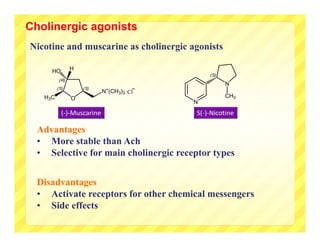Cholinergic agonists
Nicotine and muscarine as cholinergic agonists

     HO         H
                                             (S)
          (R)
                                                   N
         (S)        (S)     +
                           N (CH3)3 Cl
   H3C          O                                  CH3
                                         N
           (‐)‐Muscarine                 S(‐)‐Nicotine

  Advantages
  • More stable than Ach
  • Selective for main cholinergic receptor types


  Disadvantages
  • Activate receptors for other chemical messengers
  • Side effects
 
