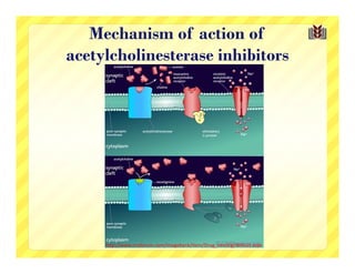 Mechanism of action of
acetylcholinesterase inhibitors




     http://www.cnsforum.com/imagebank/item/Drug_neostig/default.aspx
 