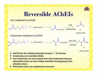 Reversible AChEIs
Ach metabolism by AChE

                                                             Fast
                    +       AChE-Ser-OH
                                                         ~milliseconds       +
                                                                         HO-Ser-AChE
Carbamate metabolism by AChE

                                                             Very slow
                        +   AChE-Ser-OH
                                                             ~minutes
                                                                                 +
                                                                             HO-Ser-AChE
 Half life for the methylcarbamated enzyme = ~ 15 minutes
 Carbamates are reversible AChEIs
 Aryl carbamates are more potent than alkyl carbamates because 
  phenoxide anions are more stable and better leaving groups than 
  alkoxide anions
 Phenoxide anions are stabilized by resonance 
 