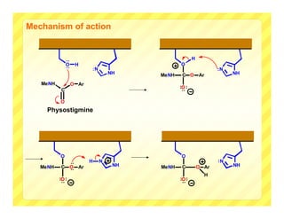 Mechanism of action


                                                           H
               : :
               O         H                          O
                              :N                                      :N
                                       NH    MeNH    C O       Ar          NH

   MeNH            O Ar
                                                    :O :
           C




                                                    :
          O
     Physostigmine




          O                                         O
                              H    N                                  :N
                   : :




   MeNH    C O           Ar             NH   MeNH    C         O Ar        NH
                                                                 H
          :O :                                      :O :
          :




                                                    :
 
