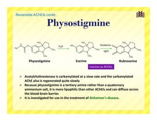 Reversible AChEIs contd..

                                   Physostigmine
                       H3C
      H                                                                  Oxidation
      N       O                                  H2O
H3C                                    N
                                           CH3
          O                  N
                                                                            light
                                 CH3

                  Physostigmine                        Eserine                        Rubreserine
                                                                 inactive as AChEIs


       Acetylcholinesterase is carbamylated at a slow rate and the carbamylated 
        AChE also is regenerated quite slowly
       Because physostigmine is a tertiary amine rather than a quaternary 
        ammonium salt, it is more lipophilic than other AChEIs and can diffuse across 
        the blood‐brain barrier.
       It is investigated for use in the treatment of Alzheimer's disease.
 