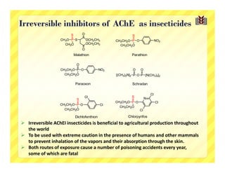 Irreversible inhibitors of AChE as insecticides




 Irreversible AChEI insecticides is beneficial to agricultural production throughout 
  the world
 To be used with extreme caution in the presence of humans and other mammals 
  to prevent inhalation of the vapors and their absorption through the skin. 
 Both routes of exposure cause a number of poisoning accidents every year, 
  some of which are fatal
 