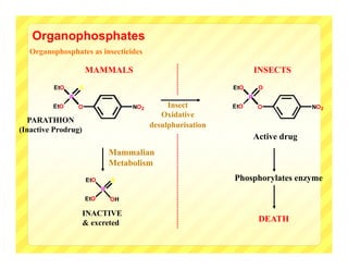 Organophosphates
  Organophosphates as insecticides

                       MAMMALS                                           INSECTS
         EtO       S                                           EtO        O
               P                                                     P
         EtO       O                  NO2        Insect        EtO        O            NO2
                                               Oxidative
  PARATHION
                                            desulphurisation
(Inactive Prodrug)
                                                                         Active drug
                                 Mammalian
                                 Metabolism
                       EtO       S                             Phosphorylates enzyme
                             P
                       EtO       OH

                     INACTIVE
                     & excreted                                           DEATH
 