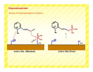 Organophosphates

Design of Organophosphate Antidotes




                                                                    O

        N     CH N           H                   N       CH N       P    OR
                     O                                          O
        Me                                       Me                 OR
                                 O
                                      OR
                                 P
                                      OR
  CO2                            O         CO2                                OH
                         H
                                     SER                                       SER




    Active Site (Blocked)                             Active Site (Free)
 