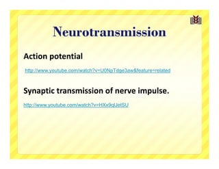 Neurotransmission
Action potential
http://www.youtube.com/watch?v=U0NpTdge3aw&feature=related



Synaptic transmission of nerve impulse. 
http://www.youtube.com/watch?v=HXx9qlJetSU
 