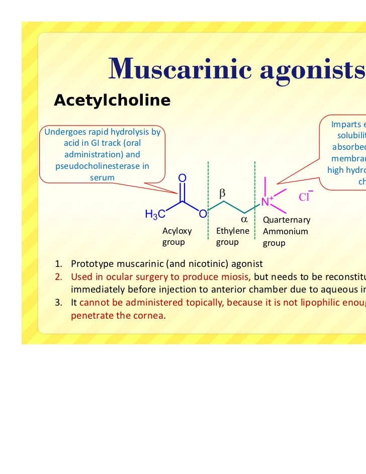 cholinergic agonists medicinal chemistry updated muscarinic agonist