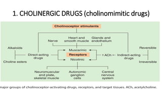 1. CHOLINERGIC DRUGS (cholinomimitic drugs)
 