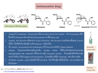 Antimuscarinic drugs
1. Atropine มี 2 enantiomer ; Hyoscyamine เป็น levorotary isomer ของ atropine ส่วน Scopolamine มีอีก
ชื่อหนึ่งว่า Hyoscine มีความต่างจาก Hyoscyamine ตรงที่มี epoxy ring
2. Atropine และ Hyoscine สกัดมาจาก Atropa belladonna และ Hyoscine อาจสกัดจากพืชสกุล Scopolia
ได้ด้วย ซึ่งพืชทั้งสองจัดอยู่ในวงศ์Solanaceae (วงศ์มะเขือ)
3. ทั้ง Atropine , Hyoscyamine และ Scopolamine (หรือ Hyoscine) จัดเป็น Tropane alkaloids
4. Atropine ในรูปแบบยาฉีดจะอยู่ในรูปเกลือ Atropine Sulfate ใช้เป็นยาต้านพิษยาฆ่าแมลงกลุ่ม
organophosphate และ carbamates ที่เกิดจากกระตุ้น muscarinic receptor , ต้านฤทธิ์ยาที่ทาให้การเต้น
ของหัวใจช้าลง ได้แก่ digitalisและ beta blockers , ต้านฤทธิ์สารที่เป็น cholinergic เช่น เห็ดบางชนิด
5. ยาหยอดตา Atropine sulfate มีฤทธิ์ทาให้ม่านตาขยาย ห้ามใช้ในผู้ป่วยที่เป็นต้อหิน เพราะจะเพิ่มความ
ดันในลูกตา
แสดง enantiomer ทั้งสองของ atropine Epoxyring
(Hyoscine)
Ref. 1. ระวีวรรณ สิทธิโอสถ; เคมีเภสัช CM473 หน้า 315-317
2. http://med.mahidol.ac.th/poisoncenter/th/anti-cov/atropine
ตัวอย่างยาฉีด
Atropine sulfate
ตัวอย่างยาตา
Atropine sulfate
 