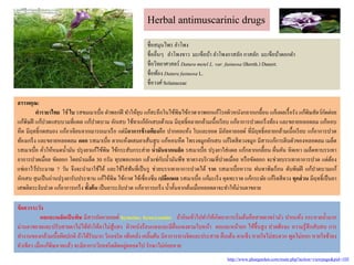 http://www.phargarden.com/main.php?action=viewpage&pid=105
ชื่อสมุนไพร ลาโพง
ชื่ออื่นๆ ลาโพงขาว มะเขือบ้า ลาโพงกาสลัก กาสลัก มะเขือบ้าดอกดา
ชื่อวิทยาศาสตร์ Datura metel L. var. fastuosa (Bernh.) Danert.
ชื่อพ้อง Datura fastuosa L.
ชื่อวงศ์Solanaceae
สรรพคุณ:
ตำรำยำไทย ใช้ ใบ รสขมเมาเบื่อ ตาพอกฝี ทาให้ยุบ แก้สะอึกในไข้พิษไข้กาฬ ยาพอกแก้โรคผิวหนังกลากเกลื้อน แก้แผลเรื้อรัง แก้พิษสัตว์กัดต่อย
แก้พิษฝี แก้ปวดแสบบวมที่แผล แก้ปวดบวม อักเสบ ใช้ทาแก้อักเสบเต้านม มีฤทธิ์คลายกล้ามเนื้อเรียบ แก้อาการปวดเกร็งท้อง และขยายหลอดลม แก้หอบ
หืด มีฤทธิ์กดสมอง แก้อาเจียนจากเมารถเมาเรือ แต่มีอำกำรข้ำงเคียงคือ ปากคอแห้ง ใบและยอด มีอัลคาลอยด์ ที่มีฤทธิ์คลายกล้ามเนื้อเรียบ แก้อาการปวด
ท้องเกร็ง และขยายหลอดลม ดอก รสเมาเบื่อ ตากแห้งผสมยาเส้นสูบ แก้หอบหืด โพรงจมูกอักเสบ แก้ริดสีดวงจมูก มีสารแก้การตีบตัวของหลอดลม เมล็ด
รสเมาเบื่อ คั่วให้หมดน้ามัน ปรุงยาแก้ไข้พิษ ไข้กระสับกระส่าย น้ำมันจำกเมล็ด รสเมาเบื่อ ปรุงยาใส่แผล แก้กลากเกลื้อน ผื่นคัน หิดเหา เมล็ดทาบรรเทา
อาการปวดเมื่อย ขัดยอก โดยนาเมล็ด 30 กรัม ทุบพอแหลก แล้วแช่กับน้ามันพืช ทาตรงบริเวณที่ปวดเมื่อย หรือขัดยอก จะช่วยบรรเทาอาการปวด แต่ต้อง
แช่เอาไว้ประมาณ 7 วัน จึงจะนามาใช้ได้ และใช้ใส่ฟันที่เป็นรู ช่วยบรรเทาอาการปวดได้ รำก รสเมาเบื่อหวาน ฝนทาพิษร้อน ดับพิษฝี แก้ปวดบวมแก้
อักเสบ สุมเป็นถ่านปรุงยารับประทาน แก้ไข้พิษ ไข้กาฬ ไข้เซื่องซึม เปลือกผล รสเมาเบื่อ แก้มะเร็ง คุดทะราด แก้กระษัย แก้ริดสีดวง ทุกส่วน มีฤทธิ์เป็นยา
เสพติดระงับปวด แก้อาการเกร็ง ทั้งต้น เป็นยาระงับปวด แก้อาการเกร็ง น้าคั้นจากต้นเมื่อหยอดตาจะทาให้ม่านตาขยาย
ข้อควรระวัง
ผลและเมล็ดเป็นพิษ มีสารอัลคาลอยด์ hyoscine, hyoscyamine ถ้ากินเข้าไปทาให้เกิดอาการเริ่มต้นคือสายตาพร่ามัว ปากแห้ง กระหายน้ามาก
ม่านตาขยายและปรับสายตาไม่ได้ทาให้ตาไม่สู้แสง ผิวหนังร้อนแดงและมีผื่นแดงตามใบหน้า คอและหน้าอก ไข้ขึ้นสูง ปวดศีรษะ ความรู้สึกสับสน การ
ทางานของกล้ามเนื้อผิดปกติ ถ้าได้รับมาก วิกลจริต เพ้อคลั่ง เคลิ้มฝัน มีอาการทางจิตและประสาท ตื่นเต้น ตาแข็ง หายใจไม่สะดวก พูดไม่ออก หายใจช้าลง
ตัวเขียว เมื่อแก้พิษหายแล้ว จะมีอาการวิกลจริตติดอยู่ตลอดไป รักษาไม่ค่อยหาย
Herbal antimuscarinic drugs
 