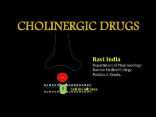 CHOLINERGIC DRUGS
MR
Cell membrane
Ach
Ravi Indla
Department of Pharmacology
Karuna Medical College
Palakkad, Kerala..
 