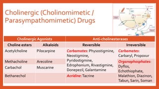 Cholinergic (Cholinomimetic /
Parasympathomimetic) Drugs
Cholinergic Agonists Anti-cholinesterases
Choline esters Alkaloids Reversible Irreversible
Acetylcholine Pilocarpine Carbamates: Physostigmine,
Neostigmine,
Pyridostigmine,
Edrophonium, Rivastigmine,
Donepezil, Galantamine
Carbamates:
Carbaryl, Propoxur
Methacholine Arecoline Organophosphates:
Dyflos,
Echothiophate,
Malathion, Diazinon,
Tabun, Sarin, Soman
Carbachol Muscarine
Bethanechol Acridine:Tacrine
 