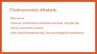 Muscarine
•Source: mushrooms Amanita muscaria, Inocybe sps.
•Only muscarinic actions
•Not used therapeutically, has toxicological importance
Cholinomimetic Alkaloids
 