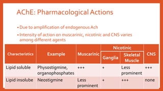 AChE: PharmacologicalActions
• Due to amplification of endogenous Ach
• Intensity of action on muscarinic, nicotinic and CNS varies
among different agents
Characteristics Example Muscarinic
Nicotinic
CNS
Ganglia
Skeletal
Muscle
Lipid soluble Physostigmine,
organophosphates
+++ + Less
prominent
+++
Lipid insolube Neostigmine Less
prominent
+ +++ none
 