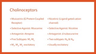 Cholinoceptors
• Muscarinic (G Protein Coupled
Receptor)
• SelectiveAgonist: Muscarine
• Antagonist: Atropine
• Five Subtypes: M1-M5
• M1, M3, M5: excitatory
• Nicotinic (Ligand gated cation
channel)
• SelectiveAgonist: Nicotine
• Antagonist: d-tubocurarine
• Two subtypes: NN & NM
• Usually excitatory
 