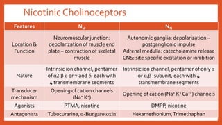 Nicotinic Cholinoceptors
Features NM NN
Location &
Function
Neuromuscular junction:
depolarization of muscle end
plate – contraction of skeletal
muscle
Autonomic ganglia: depolarization –
postganglionic impulse
Adrenal medulla: catecholamine release
CNS: site specific excitation or inhibition
Nature
Intrinsic ion channel, pentamer
of α2 β ε or γ and δ, each with
4 transmembrane segments
Intrinsic ion channel, pentamer of only α
or α,β subunit, each with 4
transmembrane segments
Transducer
mechanism
Opening of cation channels
(Na+ K+)
Opening of cation (Na+ K+ Ca++) channels
Agonists PTMA, nicotine DMPP, nicotine
Antagonists Tubocurarine, α-Bungarotoxin Hexamethonium,Trimethaphan
 