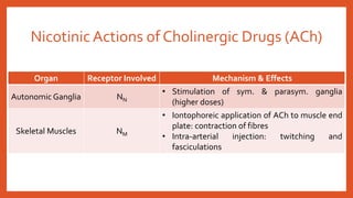 Nicotinic Actions of Cholinergic Drugs (ACh)
Organ Receptor Involved Mechanism & Effects
Autonomic Ganglia NN
• Stimulation of sym. & parasym. ganglia
(higher doses)
Skeletal Muscles NM
• Iontophoreic application of ACh to muscle end
plate: contraction of fibres
• Intra-arterial injection: twitching and
fasciculations
 