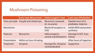 Mushroom Poisoning
Early type (Muscarinic) HallucinogenicType Late type (Phalloidin)
Toxic principle Inocybe and related sps. Muscimol; isoxazole
(A. muscaria)
Peptide toxin of A.
phalloides,Galerina
Mechanism Blocks M receptors in
CNS
Inhibit RNA and protein
synthesis
Features Muscarinic Hallucinogenic,
central manifestations
Damage to GIT, liver,
kidney
Presentation Within an hour of eating After hours of ingestion
Treatment Atropine Nonspecific, Atropine
contraindicated
Supportive
 