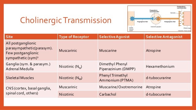 Cholinergic drugs