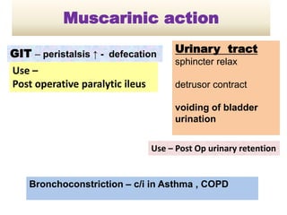 Muscarinic action
GIT – peristalsis ↑ - defecation
Use –
Post operative paralytic ileus
Urinary tract
sphincter relax
detrusor contract
voiding of bladder
urination
Bronchoconstriction – c/i in Asthma , COPD
Use – Post Op urinary retention
 