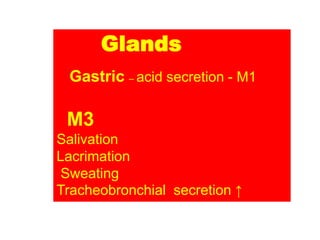Glands
Gastric – acid secretion - M1
M3
Salivation
Lacrimation
Sweating
Tracheobronchial secretion ↑
 