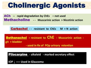 Cholinergic Agonists
ACh -- rapid degradation by ChEs – not used
Methacholine - - Muscarinic action > Nicotinic action
Carbachol - - resistant to ChEs M + N action
Bethanachol - resistant to ChE - Muscarinic action -
git + bladder
- used in Rx of POp urinary retention
Pilocarpine - alkaloid - marked secretary effect
IOP ↓ ---- Used in Glaucoma
 
