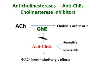 Anticholinesterases - Anti-ChEs
Cholinesterase Inhibitors
ACh Choline + acetic acid
ChE
Anti-ChEs
↑ACh level – cholinergic effects
Reversible
Irreversible
 
