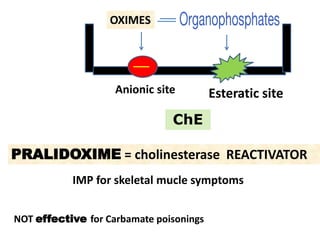 Anionic site Esteratic site
ChE
OXIMES
PRALIDOXIME = cholinesterase REACTIVATOR
NOT effective for Carbamate poisonings
IMP for skeletal mucle symptoms
 