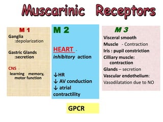 M 1
Ganglia
:depolarization
Gastric Glands
:secretion
CNS -
learning memory,
motor function
M 2
HEART -
inhibitory action
↓HR
↓ AV conduction
↓ atrial
contractility
M 3
Visceral smooth
Muscle - Contraction
Iris : pupil constriction
Cilliary muscle:
contraction
Glands – secretion
Vascular endothelium:
Vasodilatation due to NO
GPCR
 