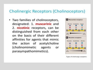 Cholinergic drugs.pptx