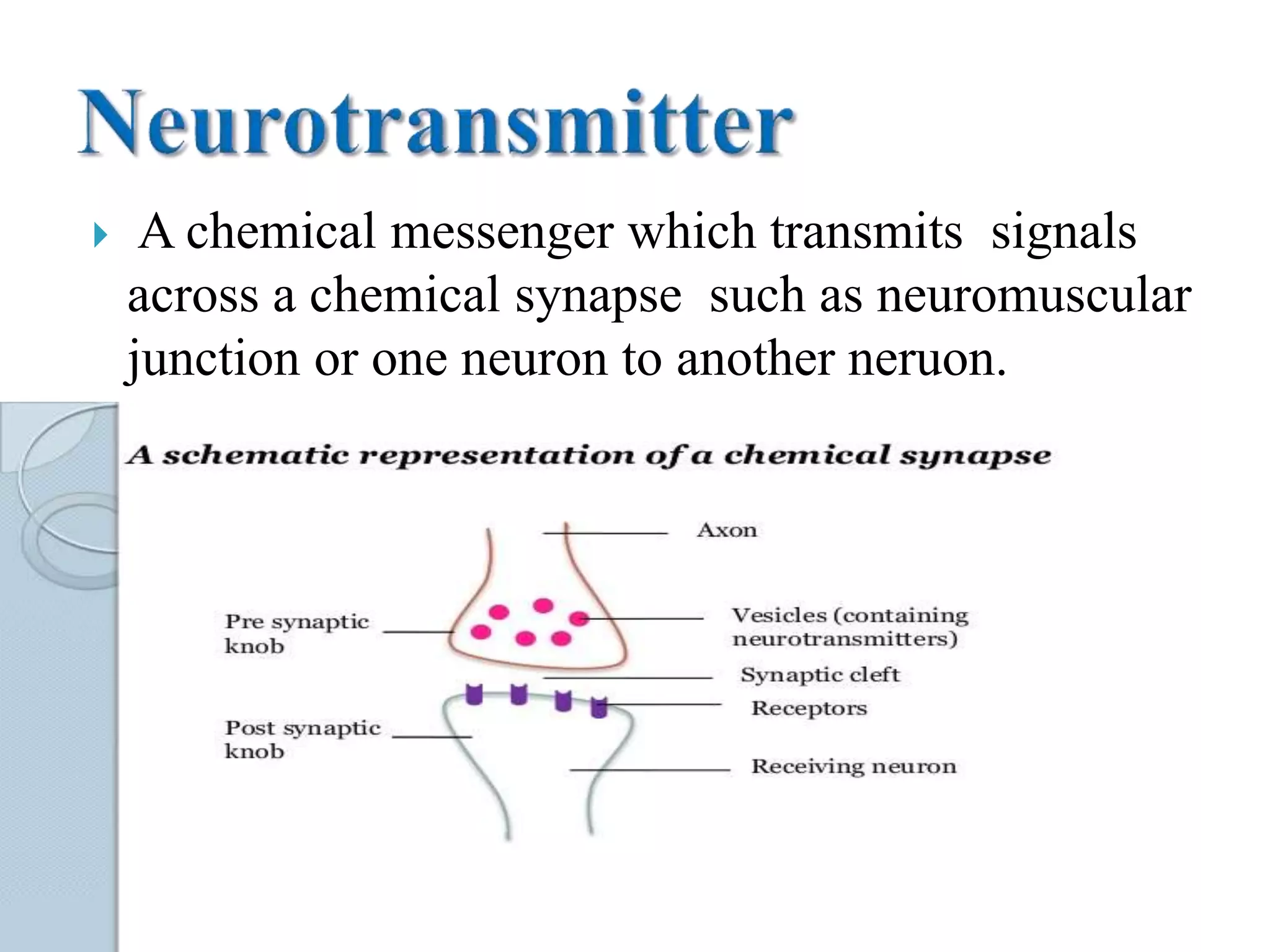Cholinergic neurotransmision | PPTX
