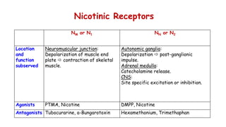 Cholinergic neurotransmission (1)