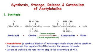 Cholinergic neurotransmission (1)