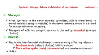 Cholinergic neurotransmission (1)