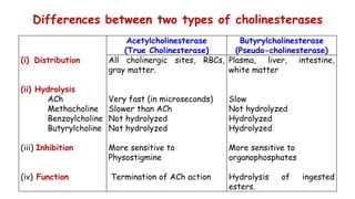 Cholinergic neurotransmission (1)