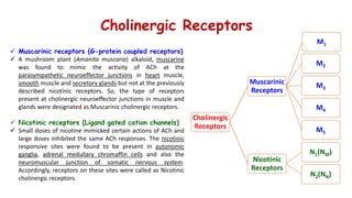 Cholinergic neurotransmission (1)