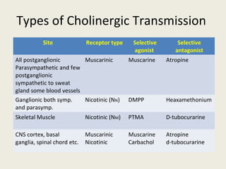 Types of Cholinergic Transmission
Site Receptor type Selective
agonist
Selective
antagonist
All postganglionic
Parasympathetic and few
postganglionic sympathetic
to sweat gland some blood
vessels
Muscarinic Muscarine Atropine
Ganglionic both symp. and
parasymp.
Nicotinic (NN) DMPP Heaxamethonium
Skeletal Muscle Nicotinic (NM) PTMA D-tubocurarine
CNS cortex, basal ganglia,
spinal chord etc.
Muscarinic
Nicotinic
Muscarine
Carbachol
Atropine
d-tubocurarine
 